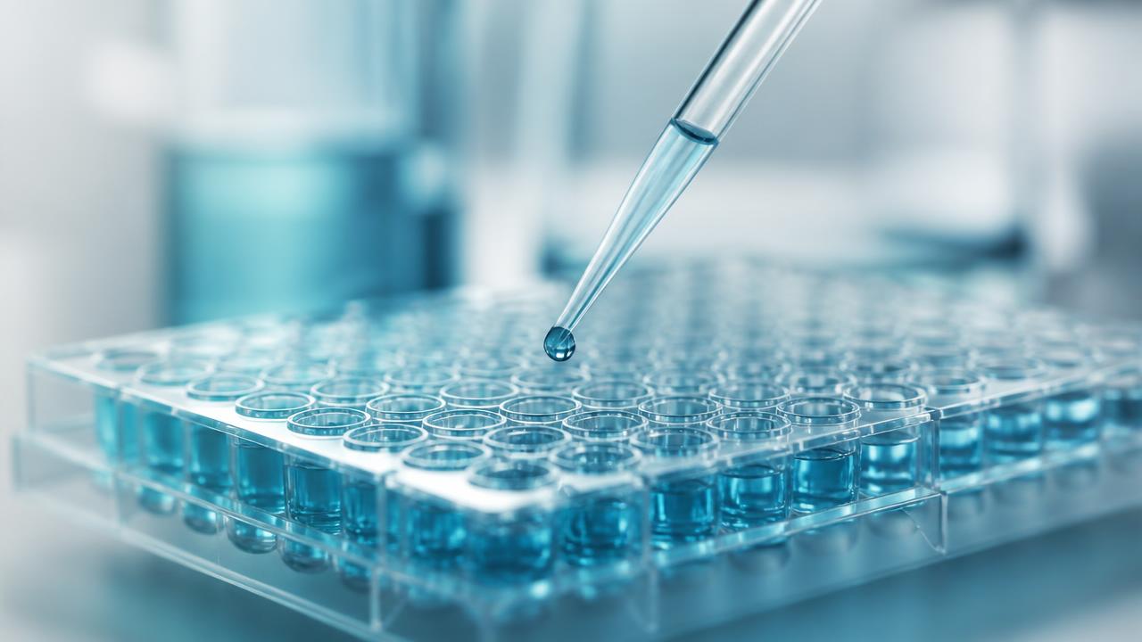 Stem Cell Research Hub